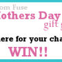 2010mdgiftguidegiveaways 2010mdgiftguidegiveaways