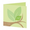 baby_family_tree-1_tn baby_family_tree-1_tn