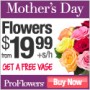 proflowersmothersday proflowersmothersday